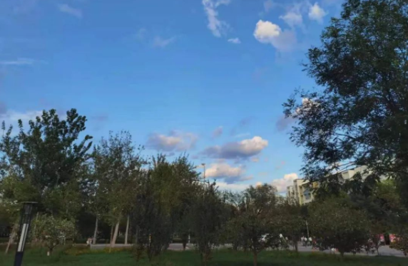 1648711088114739.png image.png